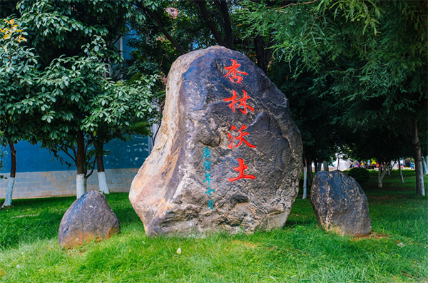 云南中医药大学2023年普通全日制本科招生章程